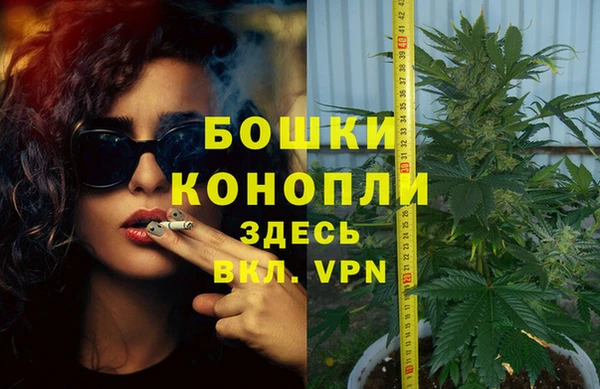 прущий лед Бородино
