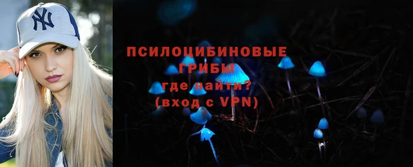 прущий лед Бородино