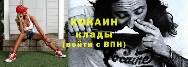 прущий лед Бородино
