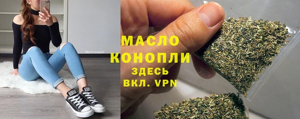 прущий лед Бородино