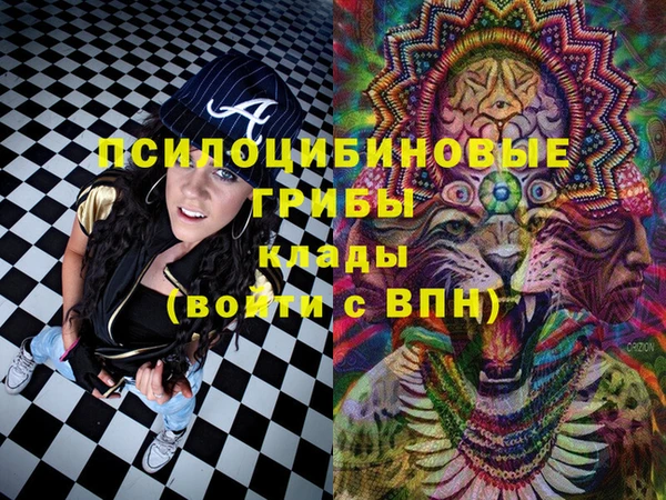 дурь Бугульма