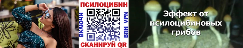 Псилоцибиновые грибы прущие грибы  omg маркетплейс  Мончегорск  закладки 