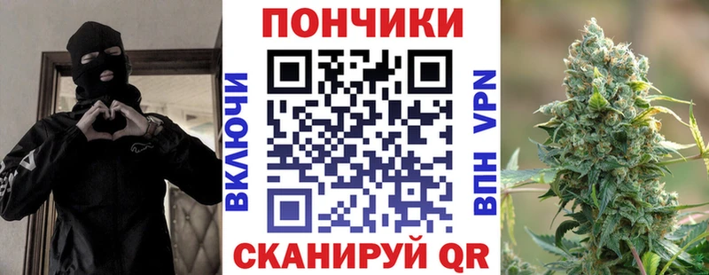 как найти   Мончегорск  Канабис конопля 
